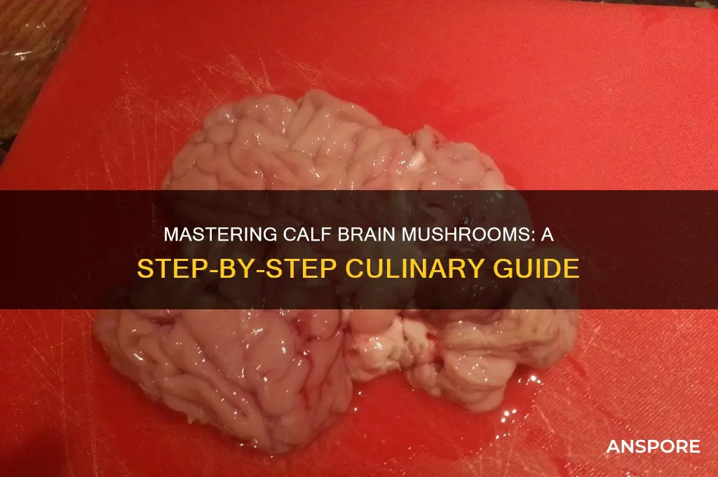 how to cook calf brain mushrooms
