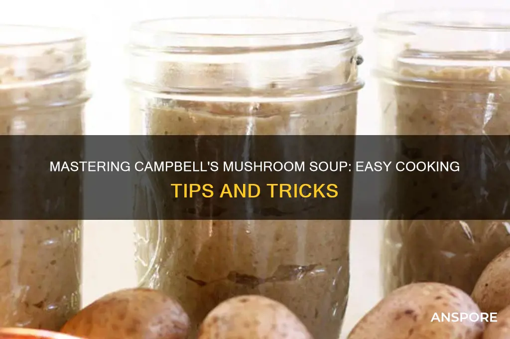 how to cook campbell mushroom soup