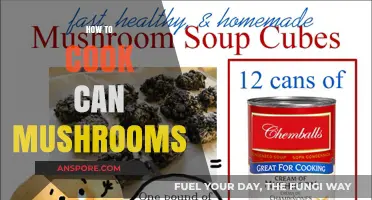 Mastering the Art of Cooking Canned Mushrooms: Simple Tips & Recipes