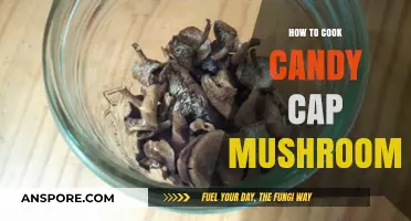 Mastering the Art of Cooking Candy Cap Mushrooms: A Sweet Guide