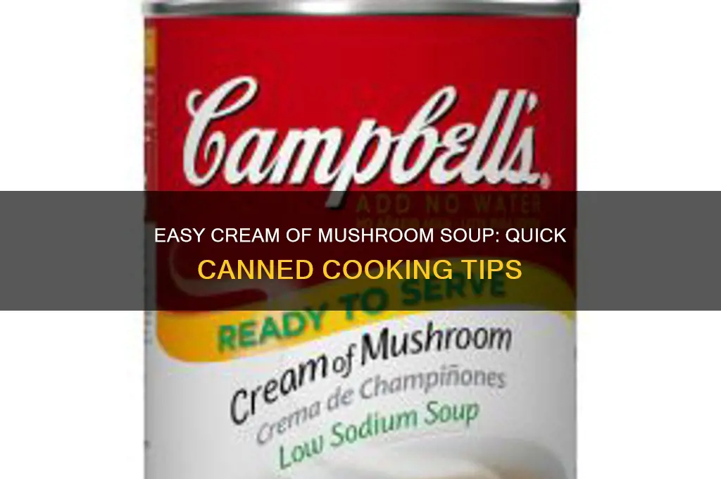 how to cook canned cream of mushroom soup