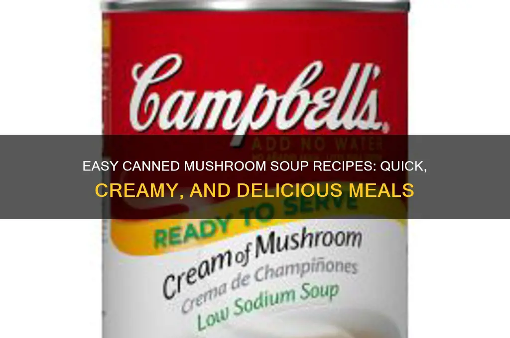 how to cook canned mushroom soup