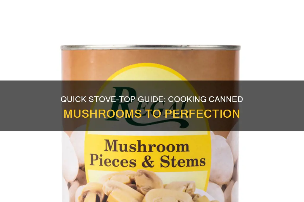 how to cook canned mushrooms on stove