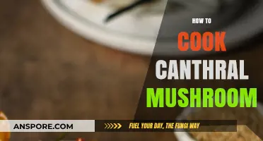 Mastering Canthral Mushrooms: A Step-by-Step Cooking Guide for Beginners