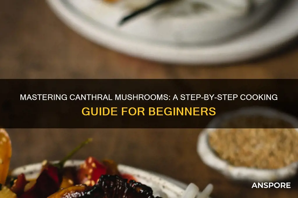 how to cook canthral mushrooms