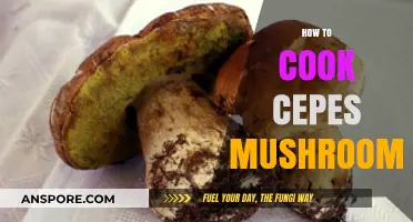 Mastering Cepes Mushrooms: A Step-by-Step Cooking Guide for Perfection
