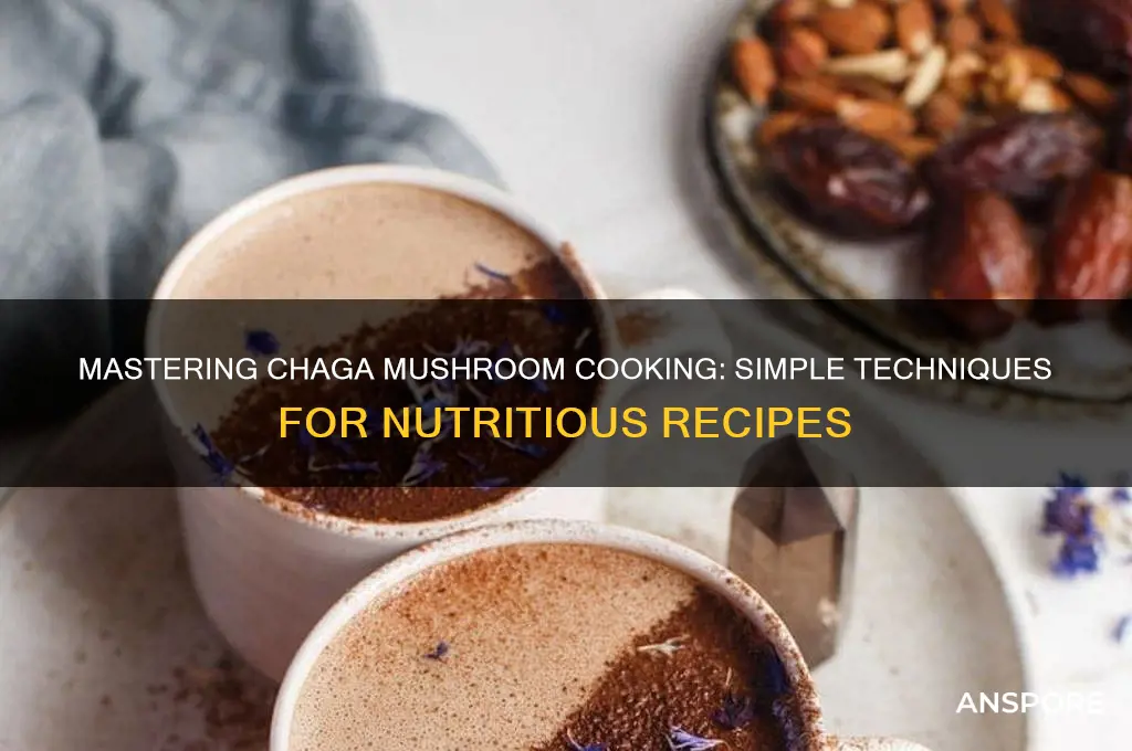 how to cook chaga mushroom