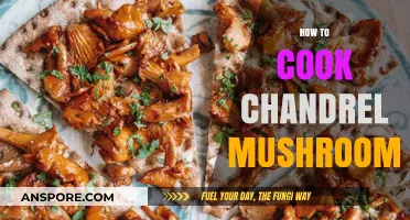 Mastering Chandrel Mushrooms: A Step-by-Step Cooking Guide