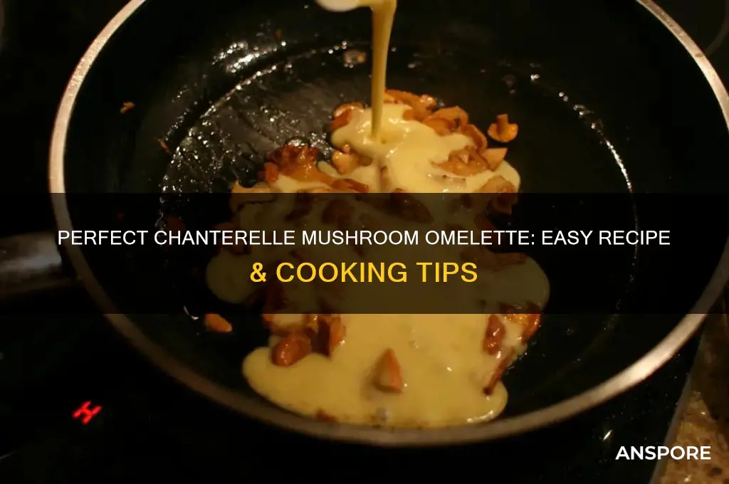 how to cook chanterelle mushroom omelette