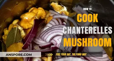 Mastering Chanterelles: A Simple Guide to Cooking These Delicate Mushrooms