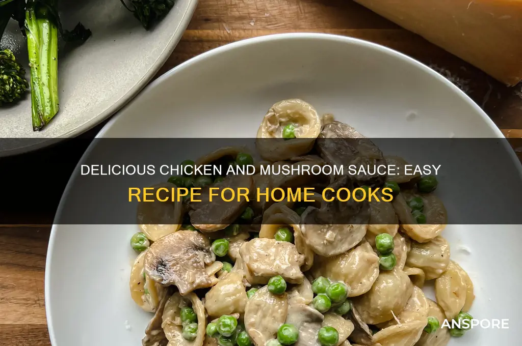 how to cook chicken and mushroom sauce