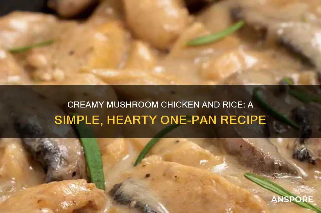 how to cook chicken and rice with cream of mushroom