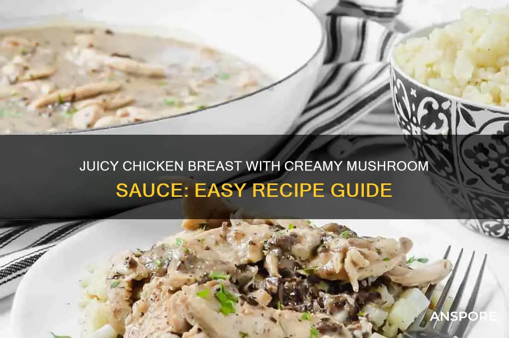 how to cook chicken breast with mushroom sauce