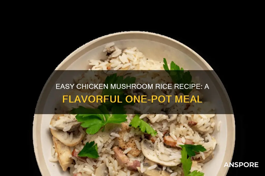 how to cook chicken mushroom rice