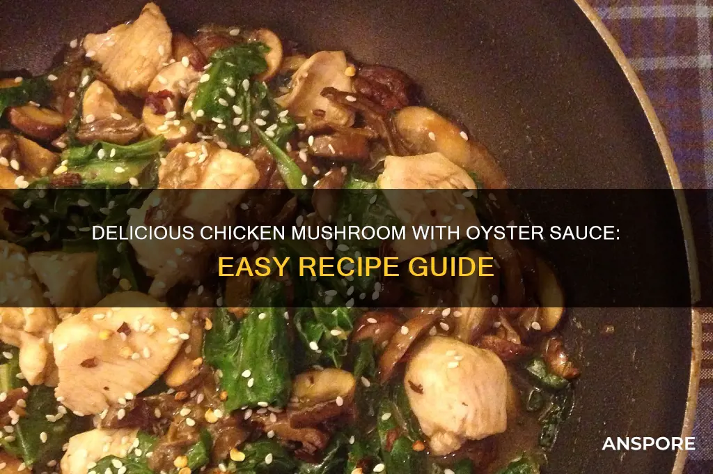 how to cook chicken mushroom with oyster sauce