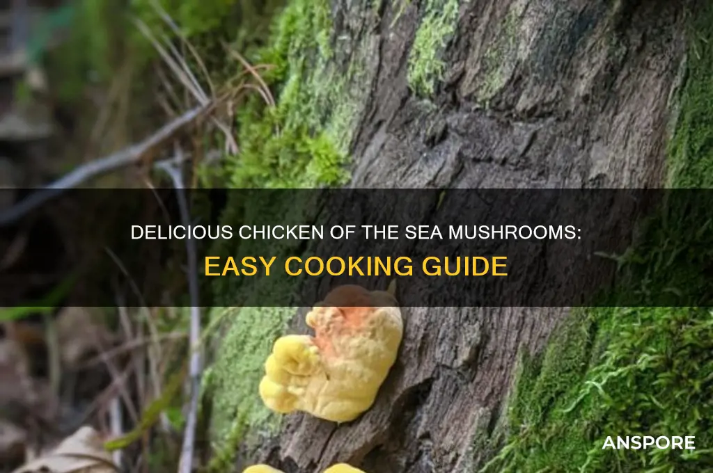 how to cook chicken of the sea mushrooms