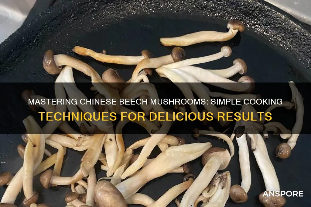 how to cook chinese beech mushrooms