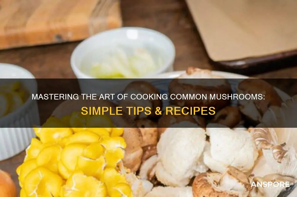 how to cook common mushroom mushrooms