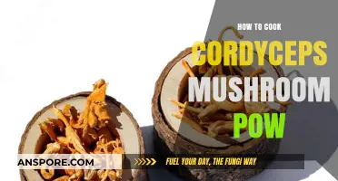 Mastering Cordyceps Mushroom Powder: Simple Cooking Techniques for Optimal Benefits