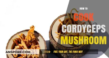 Mastering Cordyceps Mushroom Cooking: Simple Techniques for Delicious Recipes