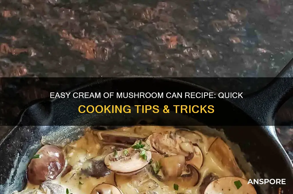 how to cook cream of mushroom can