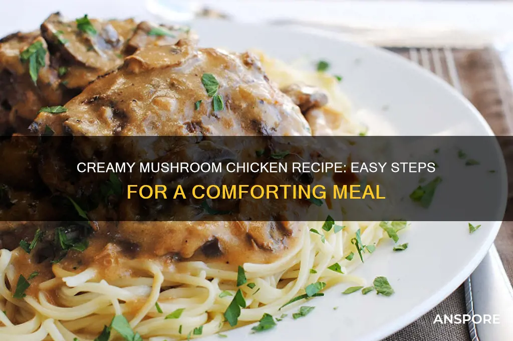 how to cook cream of mushroom chicken