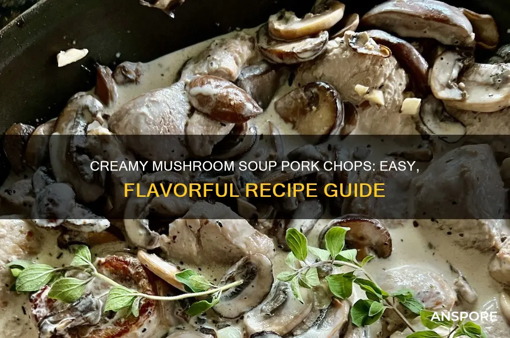 how to cook cream of mushroom soup pork chops