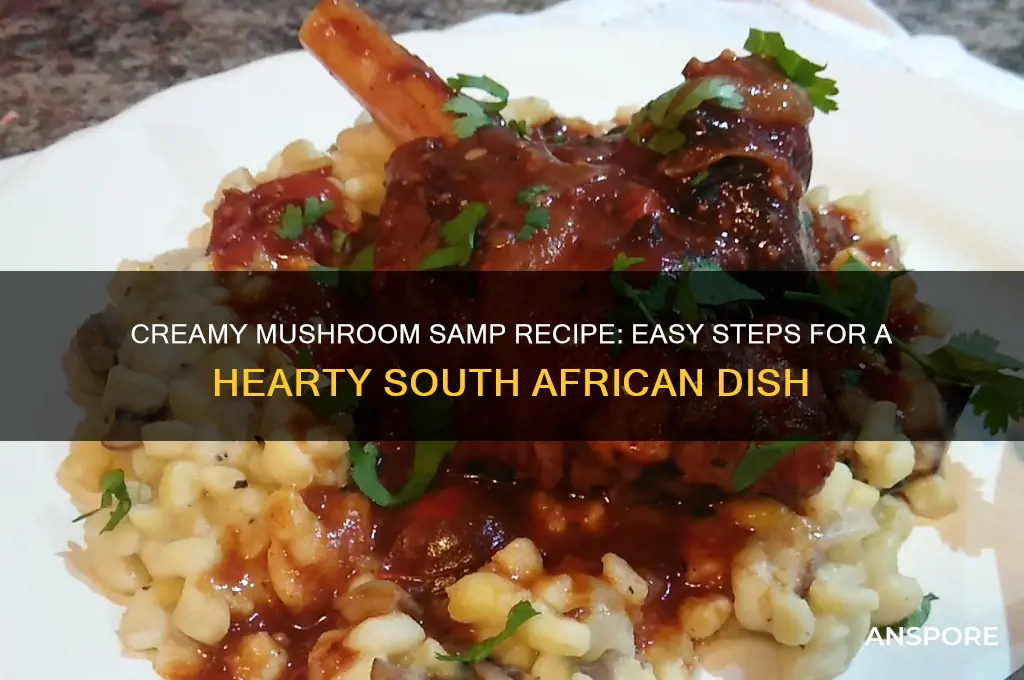 how to cook creamy mushroom samp