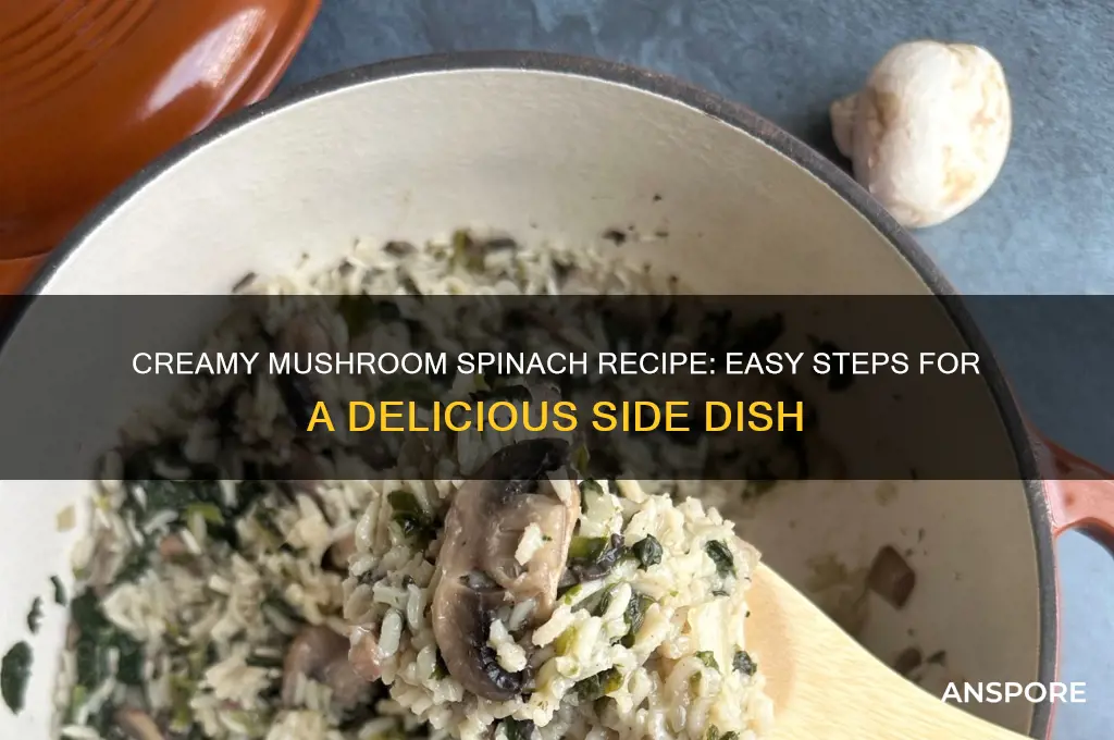 how to cook creamy mushroom spinach