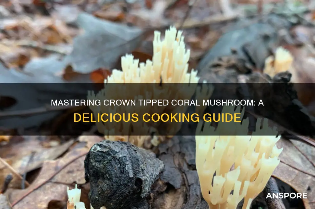 how to cook crown tipped coral mushroom