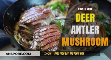 Mastering Deer Antler Mushroom Cooking: Tips, Recipes, and Techniques
