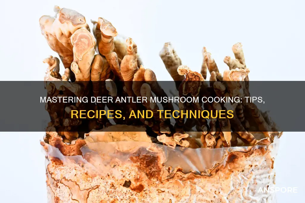 how to cook deer antler mushrooms