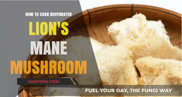Mastering Dehydrated Lion's Mane Mushroom: Simple Cooking Techniques Revealed