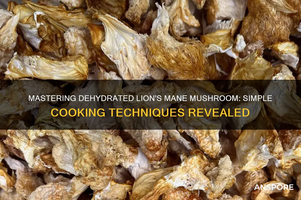how to cook dehydrated lion