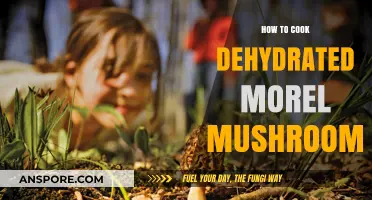 Revive Dehydrated Morel Mushrooms: Simple Cooking Techniques for Rich Flavor