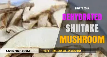 Revive and Savor: Mastering Dehydrated Shiitake Mushroom Cooking Techniques