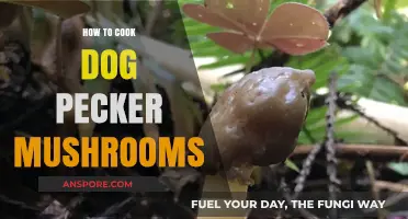 Mastering the Art of Cooking Dog Pecker Mushrooms: A Delicious Guide