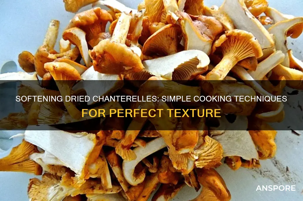 how to cook dried chataki mushroom to makr them soft