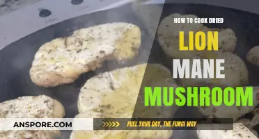 Cooking Dried Lion's Mane Mushroom: Easy Recipe & Tips