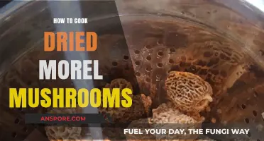 Mastering Morel Magic: A Guide to Cooking Dried Morel Mushrooms