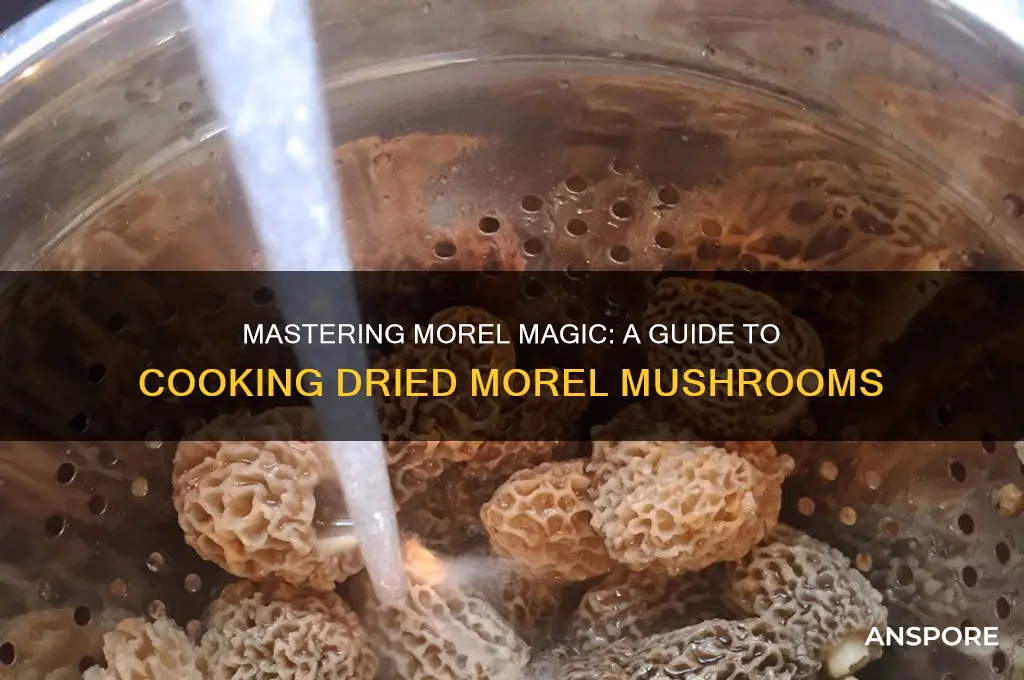 how to cook dried morel mushrooms
