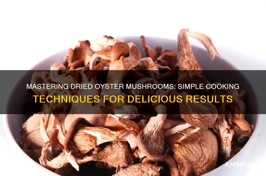 how to cook dried oyster mushrooms