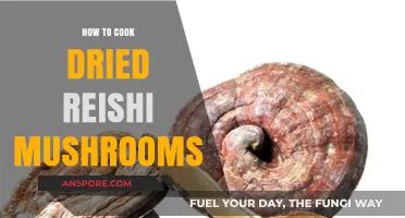 Mastering the Art of Cooking Dried Reishi Mushrooms for Wellness