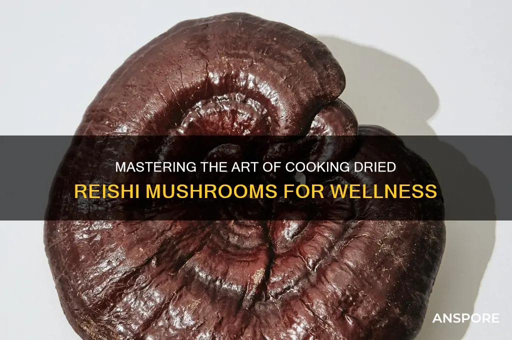 how to cook dried reishi mushrooms