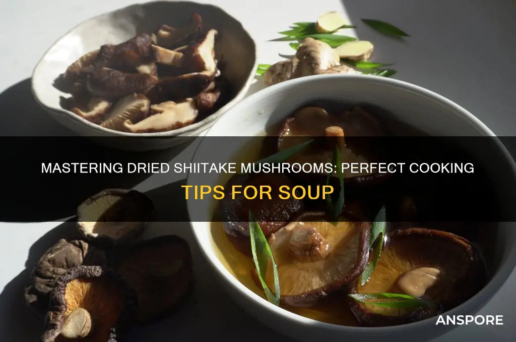 how to cook dried shiitake mushrooms for soup