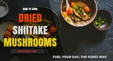 Mastering Dried Shiitake Mushrooms: Simple Cooking Techniques for Rich Umami Flavor