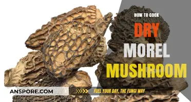 Mastering Dry Morel Mushrooms: Simple Cooking Techniques for Rich Flavor
