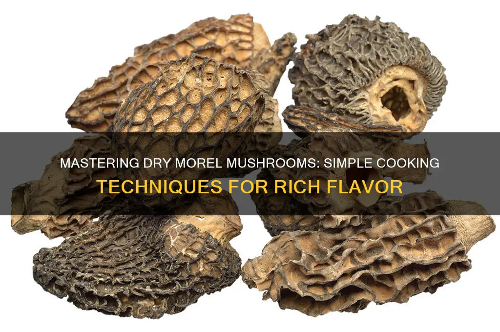 how to cook dry morel mushrooms