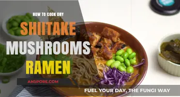 Mastering Dry Shiitake Mushrooms Ramen: Simple Steps for Umami-Rich Broth
