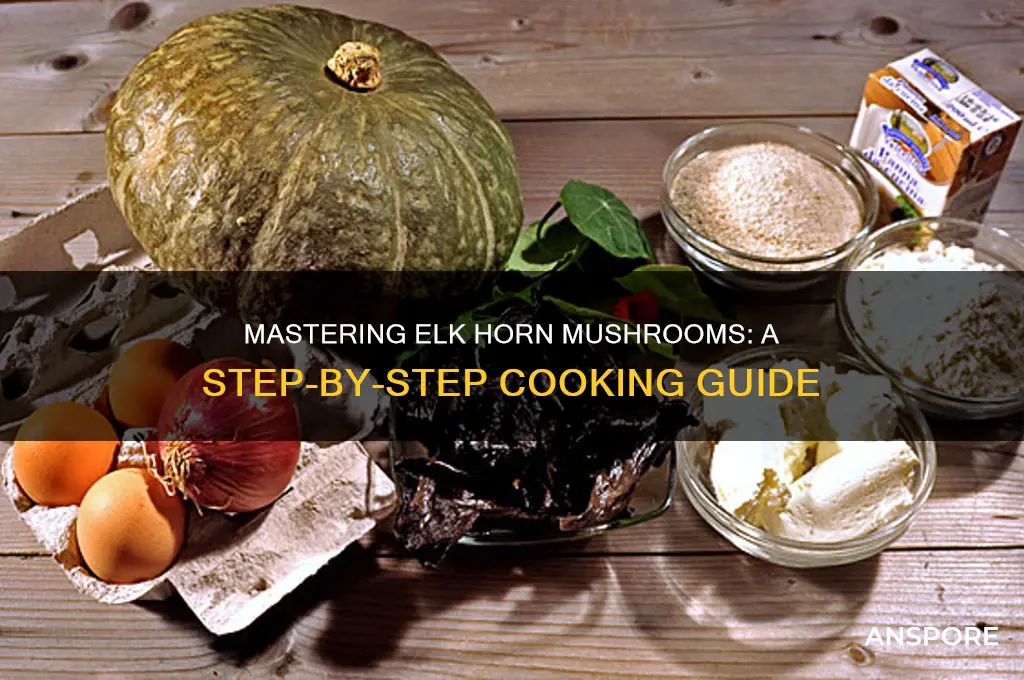 how to cook elk horn mushrooms